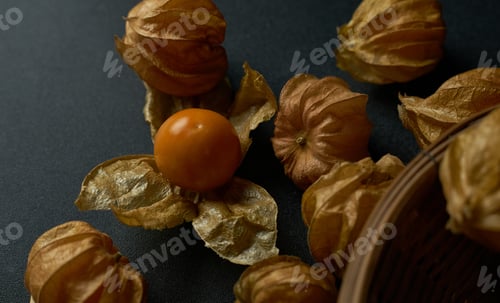 Preview: The gooseberry on the table