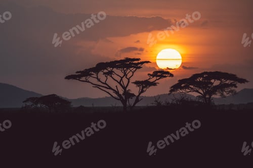 Preview: Tanzania