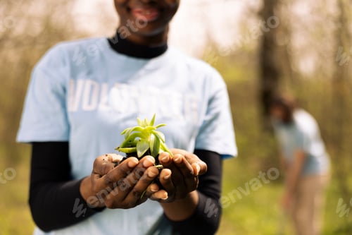 Preview: African american teenager advocating ecology by holding a small plant