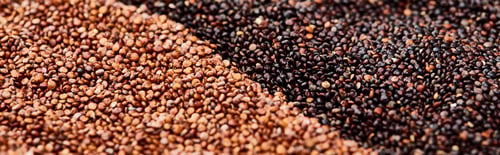 Preview: panoramic shot of roasted buckwheat and black quinoa
