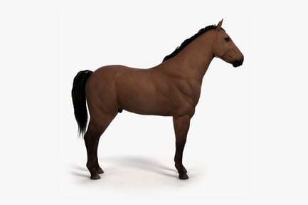 Preview: Brown Animated Horse Figure