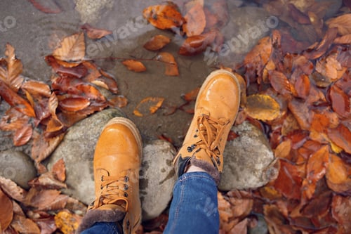 Preview: female feet on stones fallen autumn leaves top view