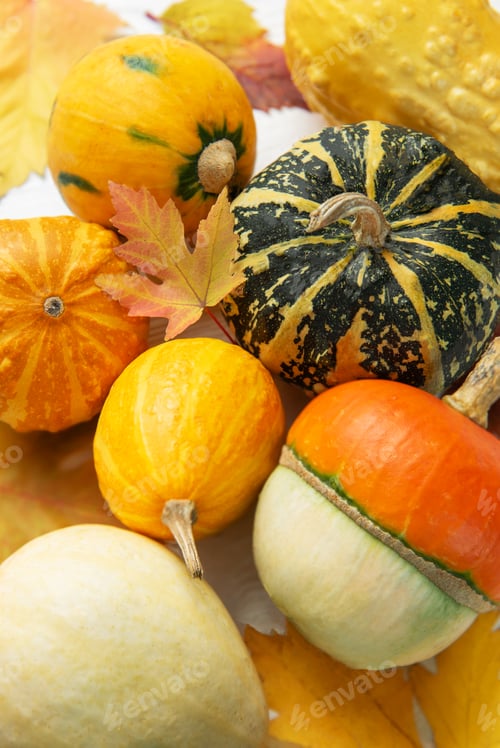 Colorful Gourds and Autumn Leaves Still Life