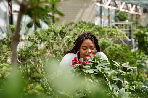 Preview: Gardener tending to vibrant flowers in a thriving greenhouse setting