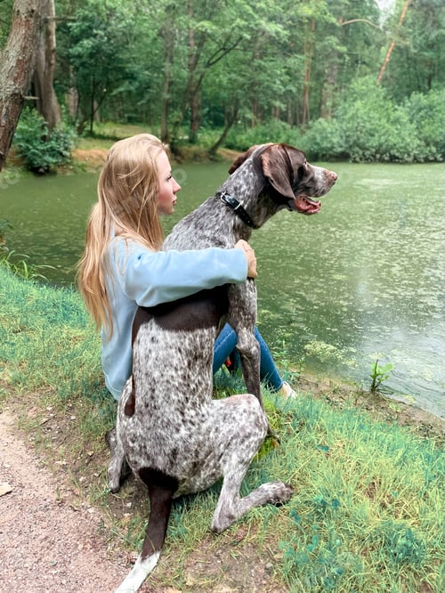 Preview: a young beautiful girl with long blonde hair is sitting on the shore of a pond and hugging a big dog