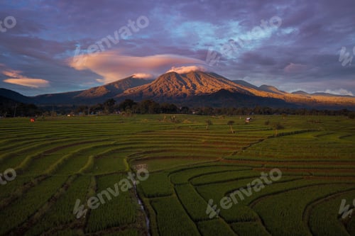 Preview: the natural beauty of rice fields with blue mountains