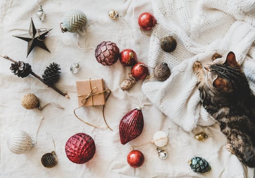 Preview: Christmas festive decoration toys and home tiger cat on sweater