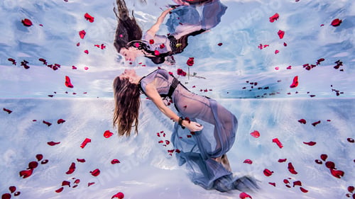 Preview: Woman underwater with rose petals