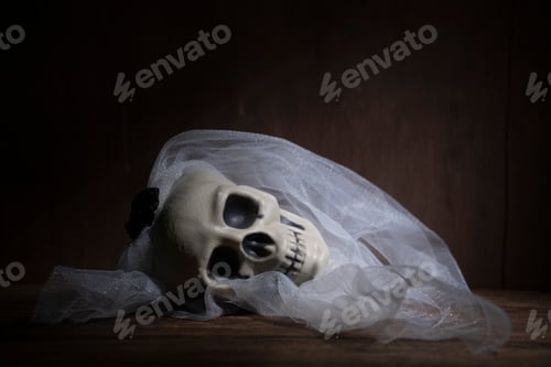Preview: Human skull, Halloween concept