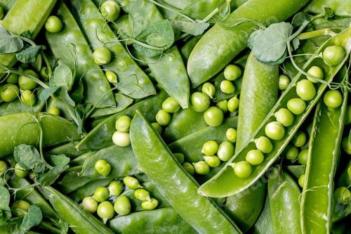 Preview: Young green pea