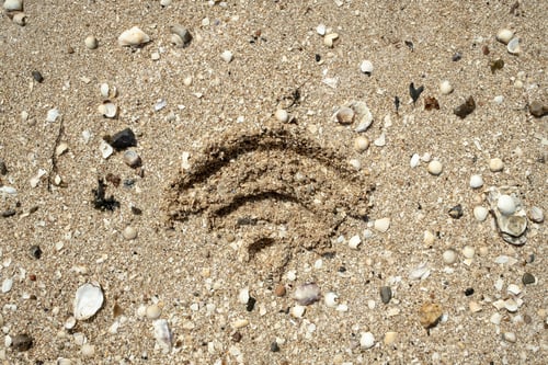 Preview: WiFi sign is drawn in the sand, on the seashore, on a summer day. Top view.