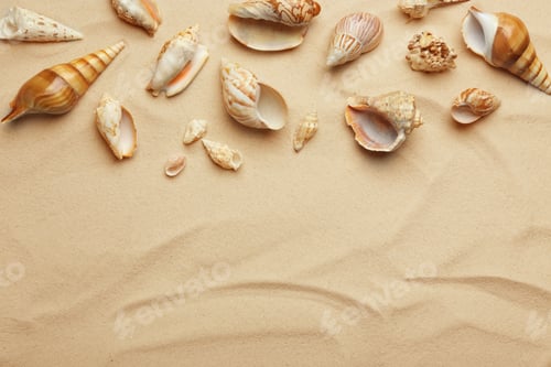 Preview: Seashells on beach sand, top view. Space for text