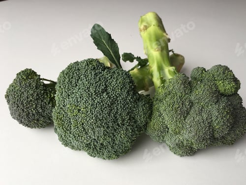 Preview: Fresh Broccoli on White Background for Food Photography