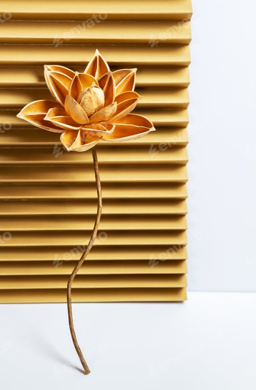 Preview: Dried lotus flower crafting from fruits shell. DIY home decorating.