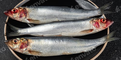 Preview: herring fish fresh seafood tasty eating cooking meal food snack on the table copy space food