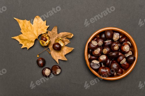 Preview: Chestnuts in autumn typical food background
