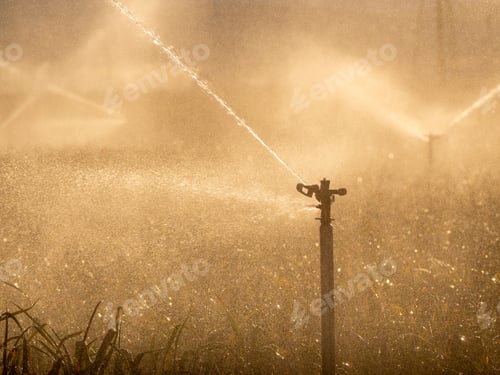 Preview: Closeup of irrigation in the cultivation field on an organic farm
