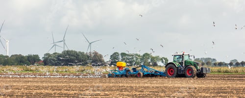 Preview: Big flock of hungry seagulls birds following modern tractor agricultural machine at farm field