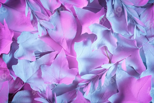 Preview: Abstract leaves with blue and pink hues