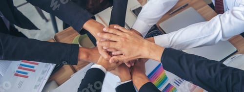 Preview: Diversity multiethnic high five group of business people success team hands together