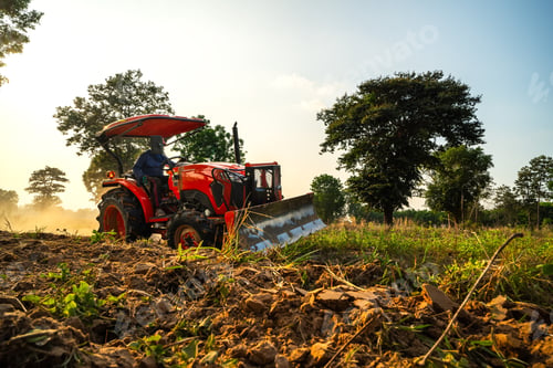 Preview: Tractor plows the land and prepares to plant cassava. Farm and Agriculture concept.