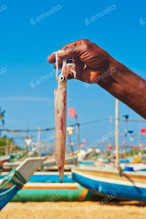 Preview: Fish market