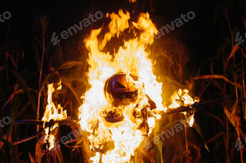 Preview: Burning Halloween Scarecrow in a cornfield at night. Halloween holiday concept.