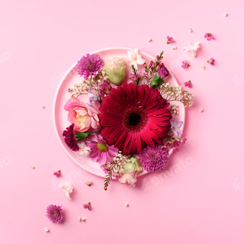 Preview: Gerbera and spring flowers on pink plate over punchy pastel background. Top view, flat lay. Square