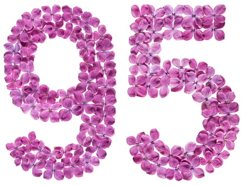 Preview: Arabic numeral 95, ninety five, from flowers of lilac, isolated on white background