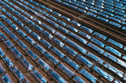 Preview: Aerial shot of plastic sheeting tunnel hothouse equipment on watermelon plantation from drone pov