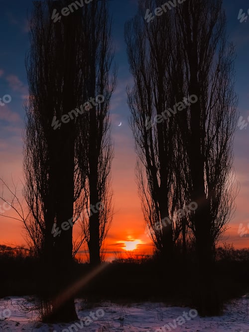 Preview: Winter Late Evening Nature at Sunset