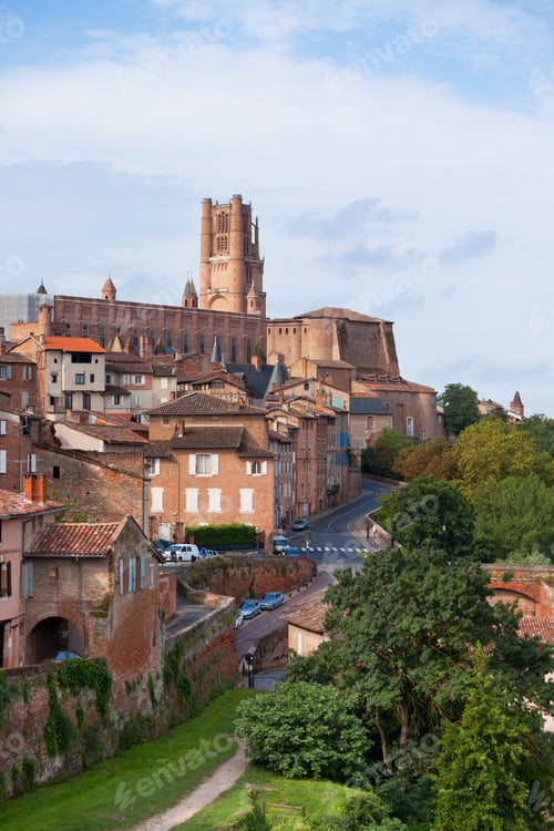 Preview: View of the Albi, France
