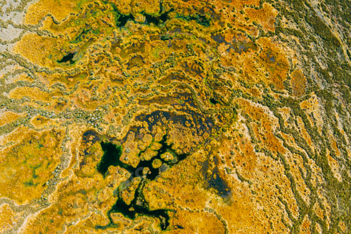 Preview: Miory District, Vitebsk Region, Belarus. The Yelnya Swamp. Upland And Transitional Bogs With