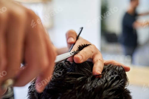 Preview: Crop hairstylist cutting hair of client