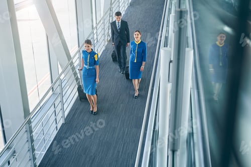 Preview: Confident Airline Staff Walking in Airport Terminal