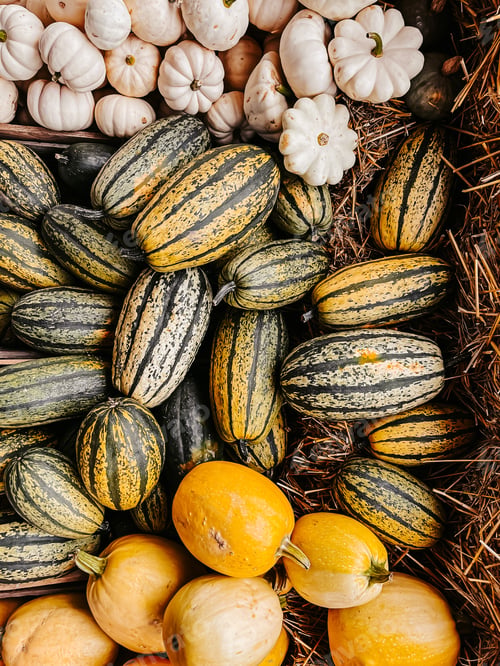 Preview: Pumpkins