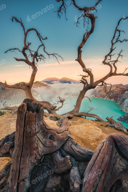 Preview: Dead tree on the crater of Kawah Ijen and sulfur smoke on turquoise lake in the morning