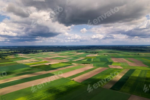 Preview: Green Lush Farm Fields and Meadows in Poland at Spring