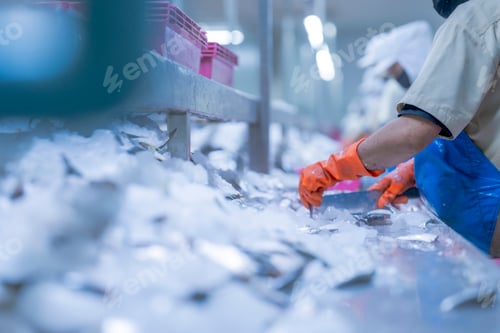 Preview: Food processing workers in protective gear, including lab coats