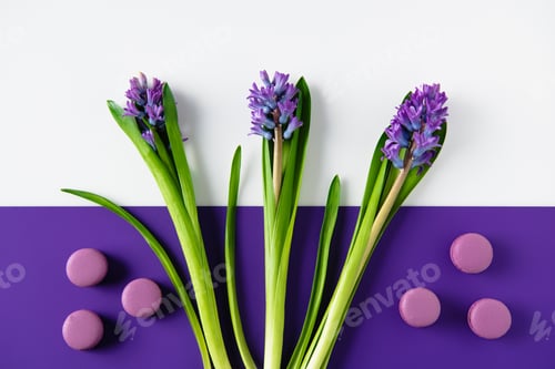 Preview: top view of hyacinth flowers with macaron cookies on purple and white surface