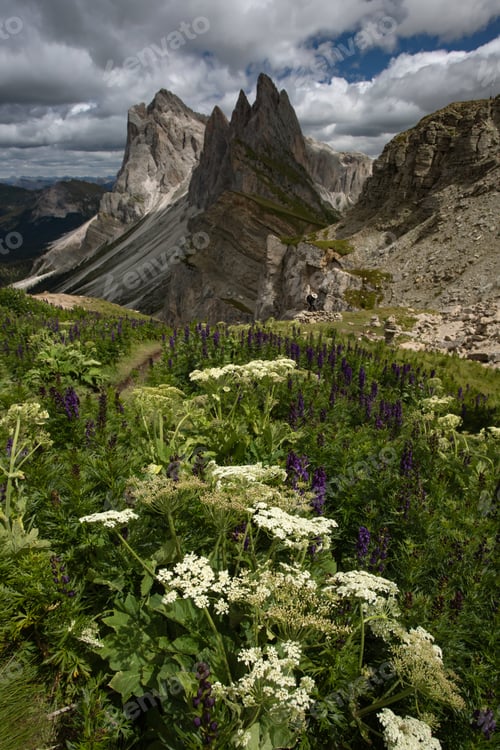 Preview: Majestic mountain scenery - Seceda, Dolomites, Italy.