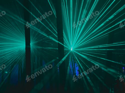 Preview: A Magical Forest of Light & Shadow