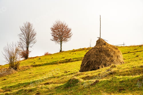 Preview: Sunrise in misty morning valley with haystack on grassland hill
