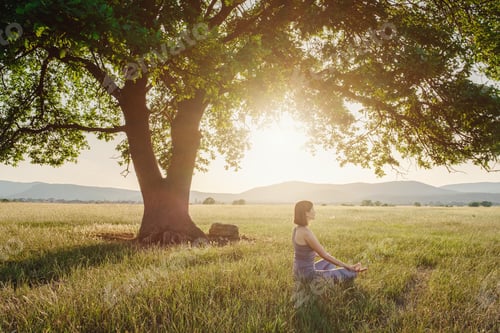 Preview: Attractive woman practices yoga in nature in summer.