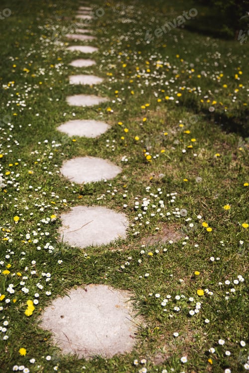 Preview: Stone walkway. Garden path walkway on green grass turf