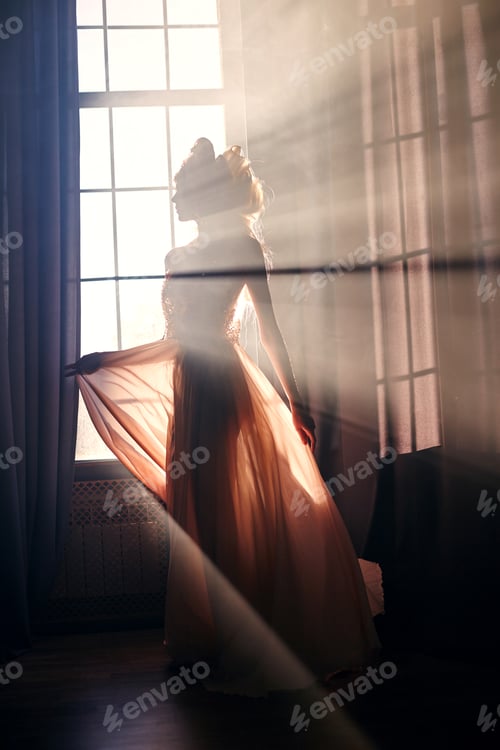 Preview: Silhouette of a mysterious fairy woman on the background of the window in the sunlight.