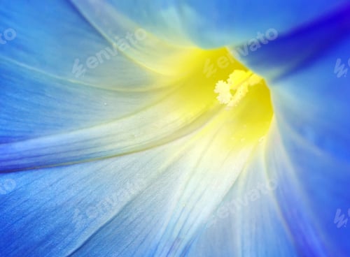 Preview: Macro of blue flower