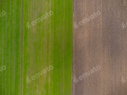 Preview: Green and brown field, top view