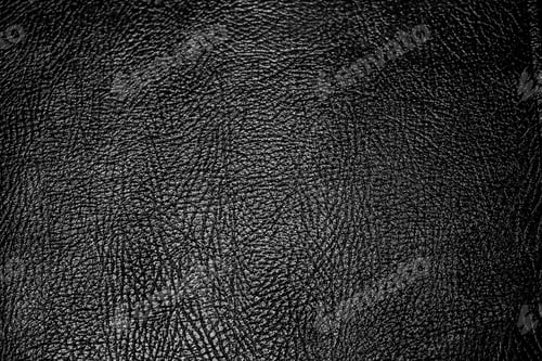 Preview: Black and white background and crocodile skin texture