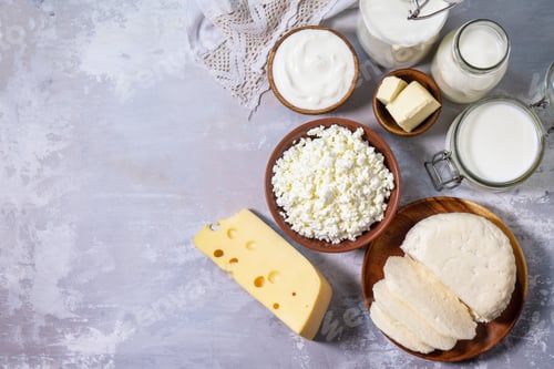 Preview: Various fresh dairy products, milk, sour cream, cottage cheese, yogurt and butter.